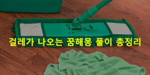 걸레가 나오는 꿈해몽 풀이 총정리