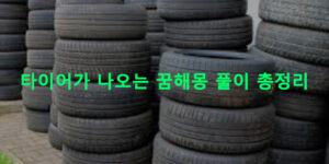 타이어가 나오는 꿈해몽 풀이 총정리