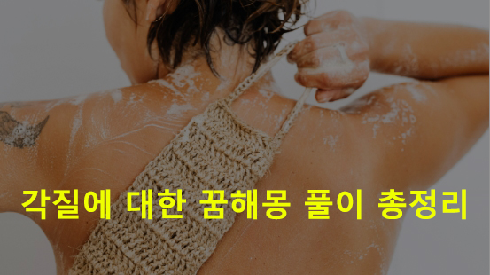 각질에 대한 꿈해몽 풀이 총정리