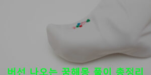 버선 나오는 꿈해몽 풀이 총정리
