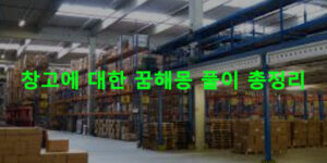 창고에 대한 꿈해몽 풀이 총정리