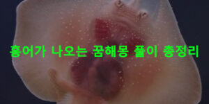 홍어가 나오는 꿈해몽 풀이 총정리