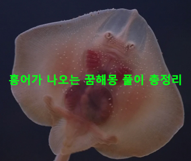 홍어가 나오는 꿈해몽 풀이 총정리