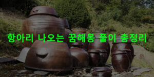 항아리 나오는 꿈해몽 풀이 총정리