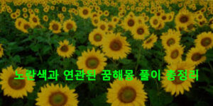 노란색과 연관된 꿈해몽 풀이 총정리