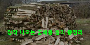 장작 나오는 꿈해몽 풀이 총정리