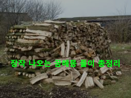 장작 나오는 꿈해몽 풀이 총정리