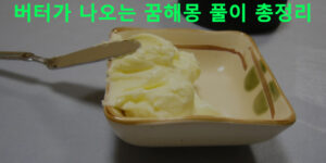 버터가 나오는 꿈해몽 풀이 총정리