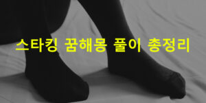 스타킹 꿈해몽 풀이 총정리