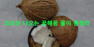 코코넛 나오는 꿈해몽 풀이 총정리