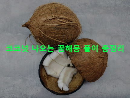 코코넛 나오는 꿈해몽 풀이 총정리