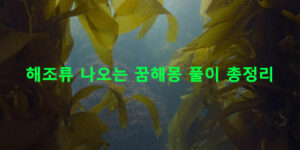 해조류 나오는 꿈해몽 풀이 총정리