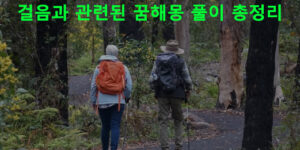 걸음과 관련된 꿈해몽 풀이 총정리