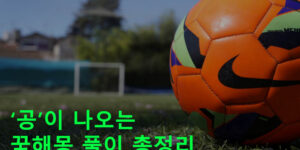 공이 나오는 꿈해몽 풀이 총정리