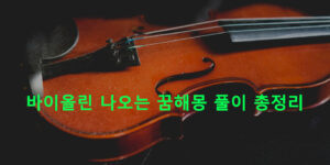 바이올린 나오는 꿈해몽 풀이 총정리