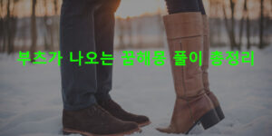 부츠가 나오는 꿈해몽 풀이 총정리