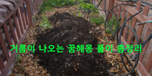 거름이 나오는 꿈해몽 풀이 총정리
