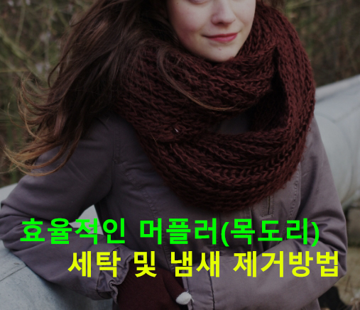 효율적인 머플러(목도리) 세탁 및 냄새 제거방법