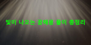 빛이 나오는 꿈해몽 풀이 총정리