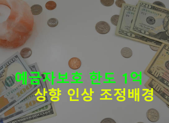 예금자보호 한도 1억 상향 인상 조정배경