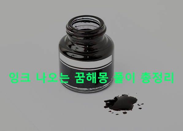 잉크 나오는 꿈해몽 풀이 총정리
