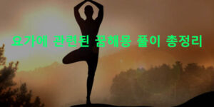 요가에 관련된 꿈해몽 풀이 총정리