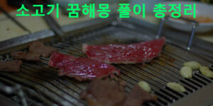 소고기 꿈해몽 풀이 총정리