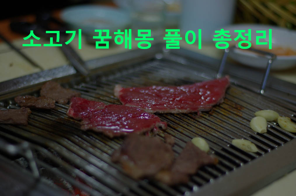 소고기 꿈해몽 풀이 총정리