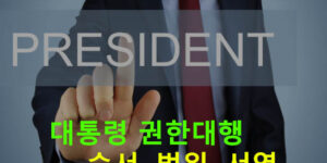 대통령 권한대행 순서, 범위, 서열