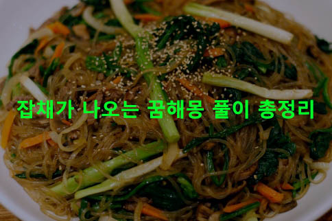 잡채가 나오는 꿈해몽 풀이 총정리