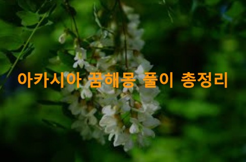 아카시아 꿈해몽 풀이 총정리