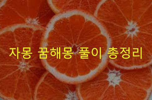 자몽 꿈해몽 풀이 총정리