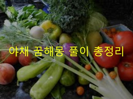 야채 꿈해몽 풀이 총정리