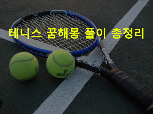 테니스 꿈해몽 풀이 총정리