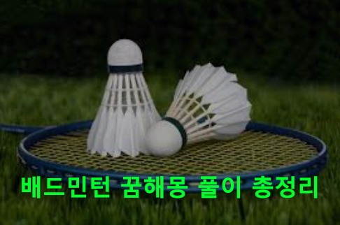 배드민턴 꿈해몽 풀이 총정리