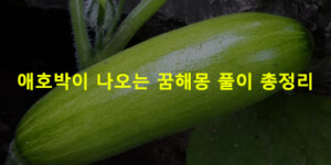 애호박이 나오는 꿈해몽 풀이 총정리
