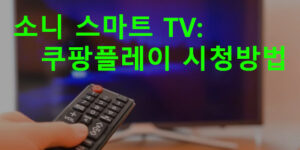 소니 스마트 TV: 쿠팡플레이 시청방법