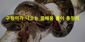 구렁이가 나오는 꿈해몽 풀이 총정리