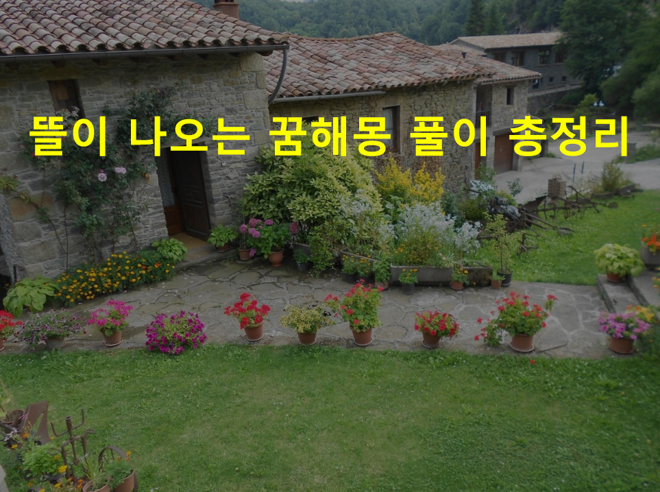 뜰이 나오는 꿈해몽 풀이 총정리