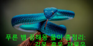 푸른 뱀 꿈해몽 풀이 총정리: 길몽, 흉몽, 재물운