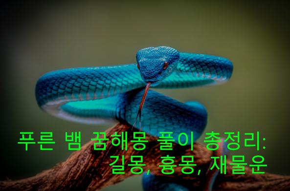 푸른 뱀 꿈해몽 풀이 총정리: 길몽, 흉몽, 재물운