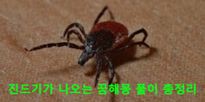 진드기가 나오는 꿈해몽 풀이 총정리