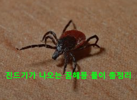 진드기가 나오는 꿈해몽 풀이 총정리