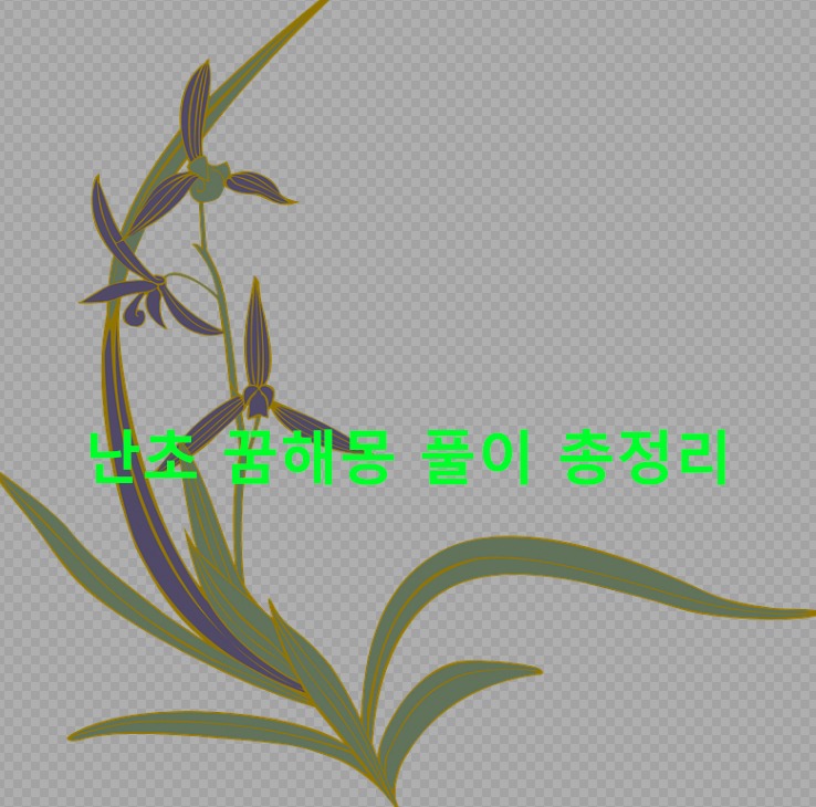 난초 꿈해몽 풀이 총정리