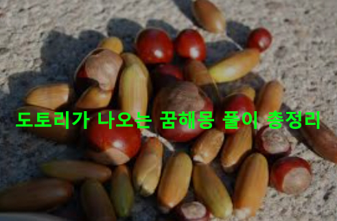 도토리가 나오는 꿈해몽 풀이 총정리