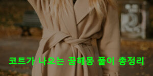 코트가 나오는 꿈해몽 풀이 총정리