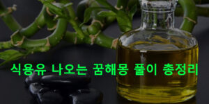식용유 나오는 꿈해몽 풀이 총정리