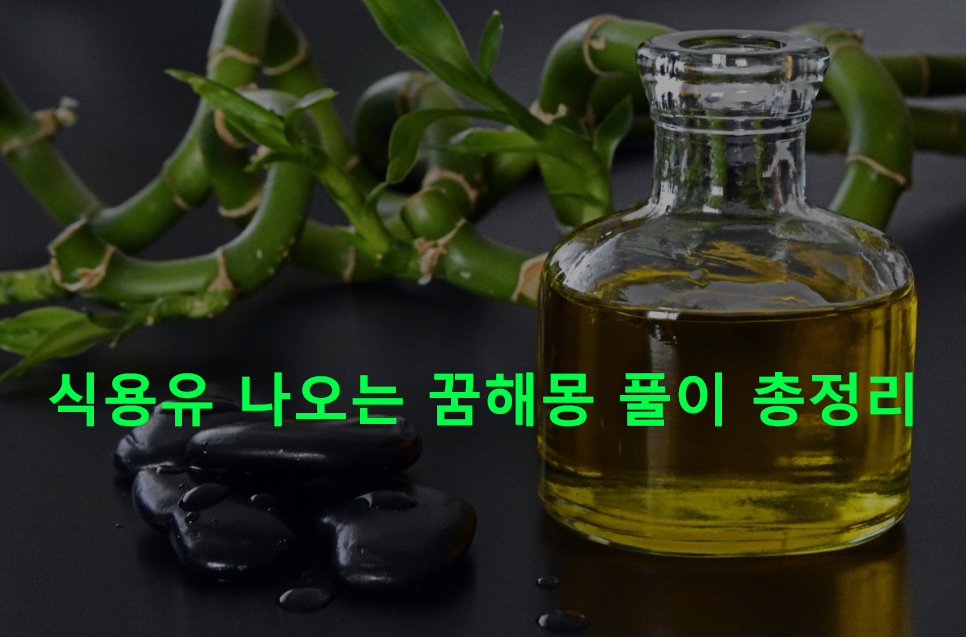 식용유 나오는 꿈해몽 풀이 총정리