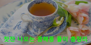 찻잔 나오는 꿈해몽 풀이 총정리