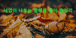 낙엽이 나오는 꿈해몽 풀이 총정리
